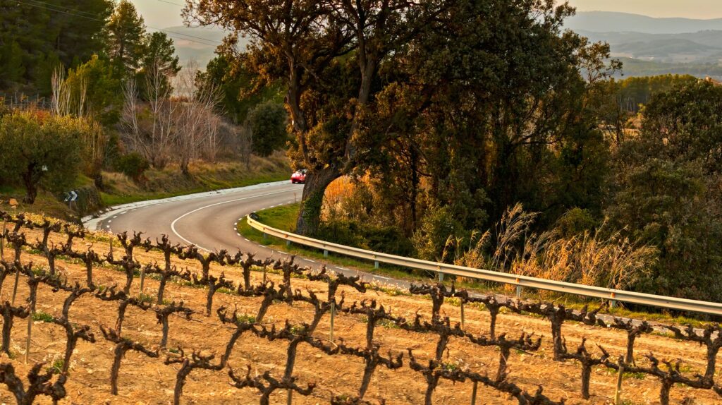 viñedos para visitar en Cataluña