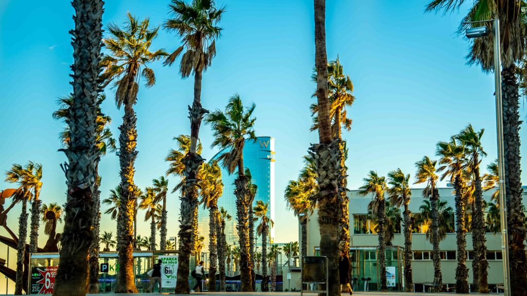 Descubre la Barceloneta en una ruta en coche rodeada de palmeras