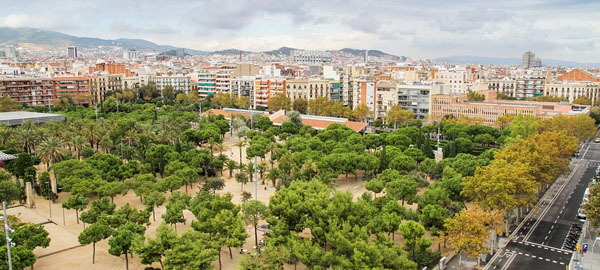 Recorre en ruta en coche las zonas verdes más emblemáticas de la ciudad con hire cars Barcelona