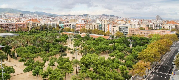 Explore the city’s most iconic green zones on a car route with hire cars Barcelona